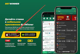 Maximize Your Winnings A Deep Dive into Sports Betting
